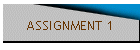 ASSIGNMENT 1